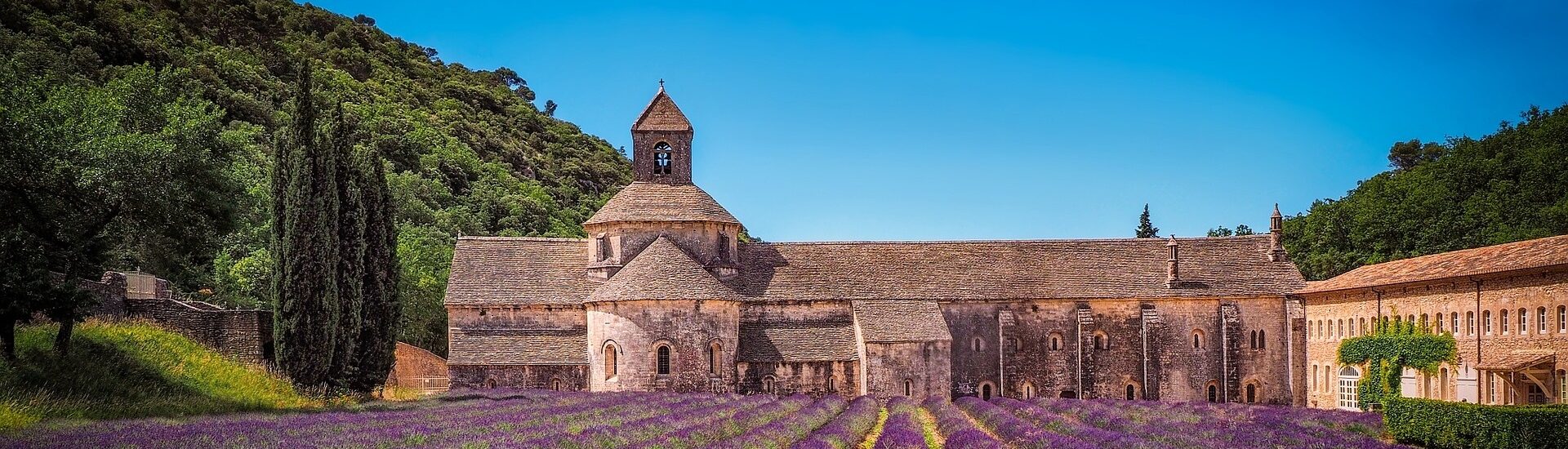 evenements header L'Abbaye de Sénanque à Gordes, attraction incontournable près de nos gîtes, est mondialement réputée pour ses champs de lavande en fleurs.