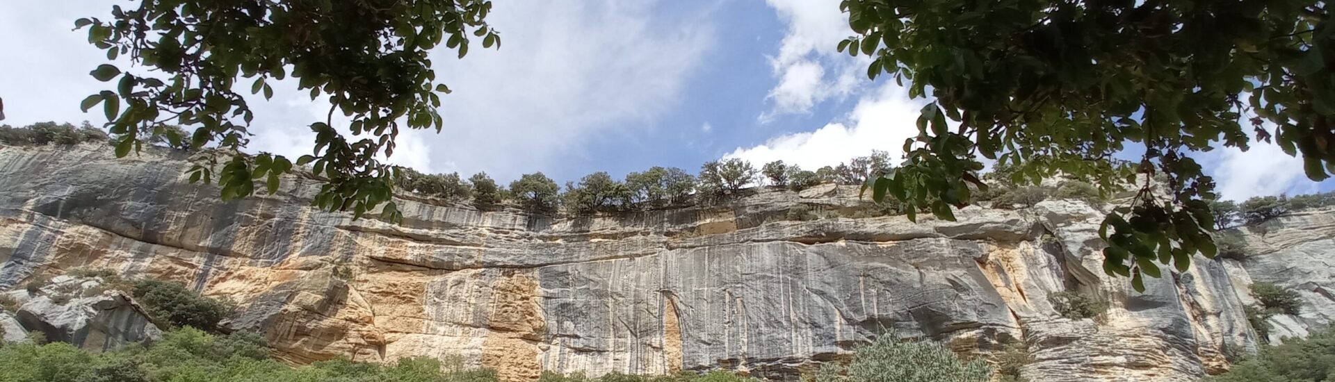 vacances sportives header panorama sur les majestueuses falaises de Buoux, site réputé pour ses voies d'escalade, depuis la vallée de l'Aiguebrun