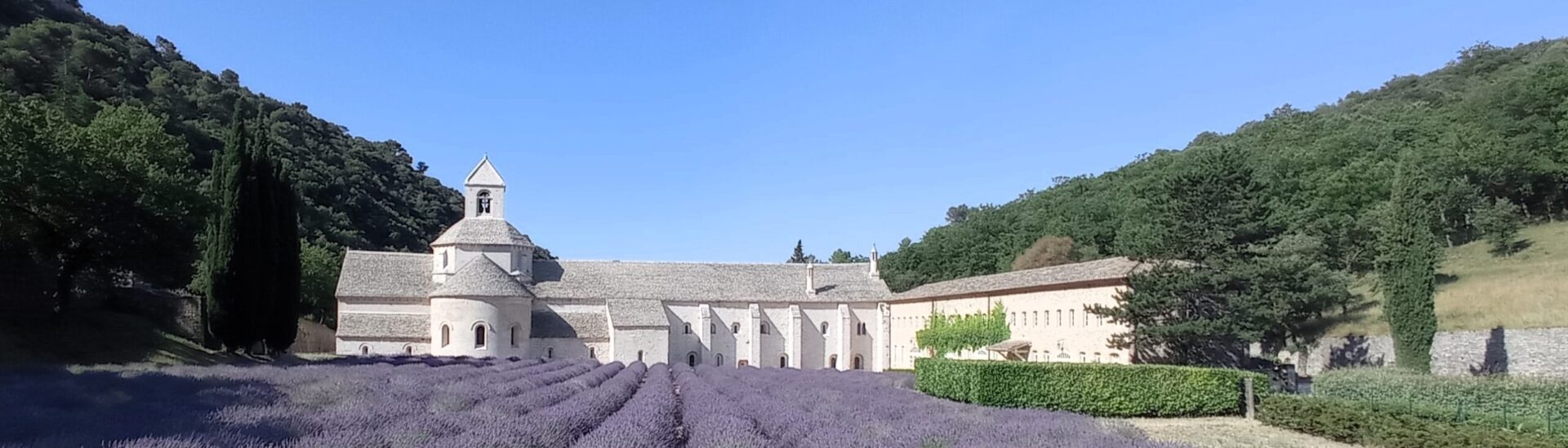 événements header L'abbaye de Sénanque à Gordes est réputée pour ses magnifiques champs de lavande