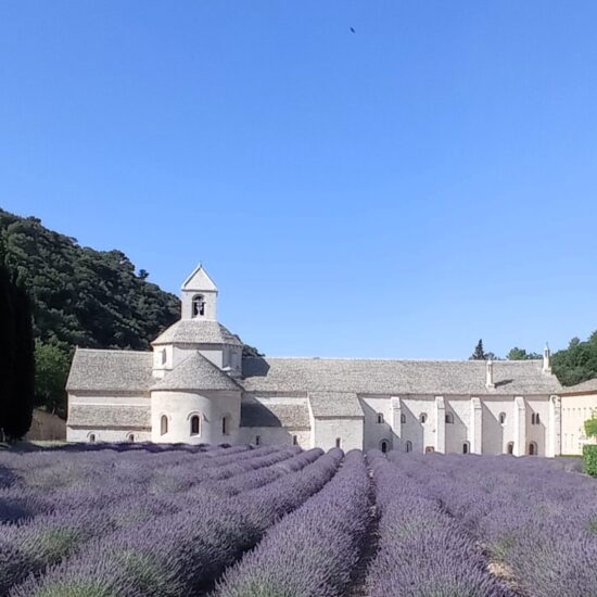 L'abbaye de Sénanque à Gordes est réputée pour ses magnifiques champs de lavande